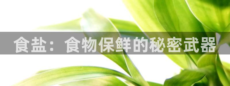威九国际精免费下载