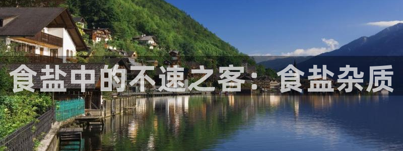 威九国际的演员