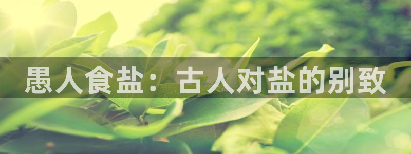 威九国际女主角