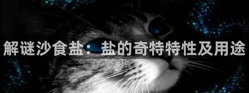 威九国际网站进入(中国)有限公司-官网