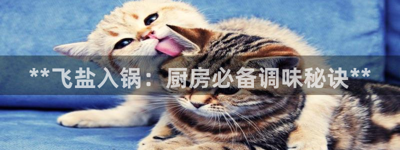 威九国际APP那个地方
