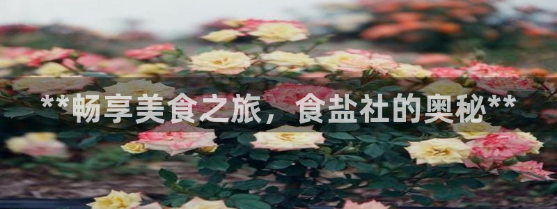 威九国际66m入口