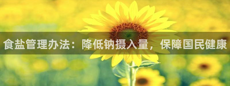 威九国际精免费下载