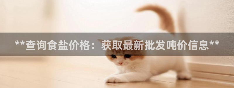 威九国际网站怎么样知乎