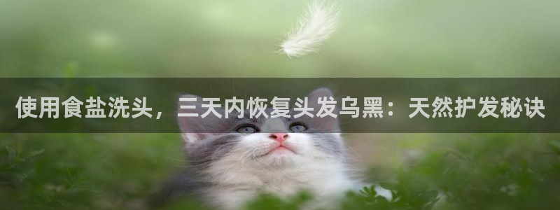 威九国际v96 bet会黑吗
