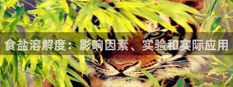 威九国际网站安全吗