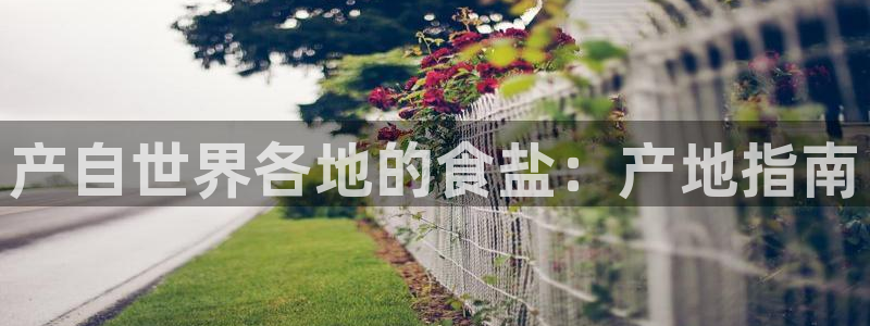 威九国际PPT