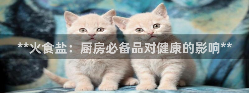 威九国际免费游戏