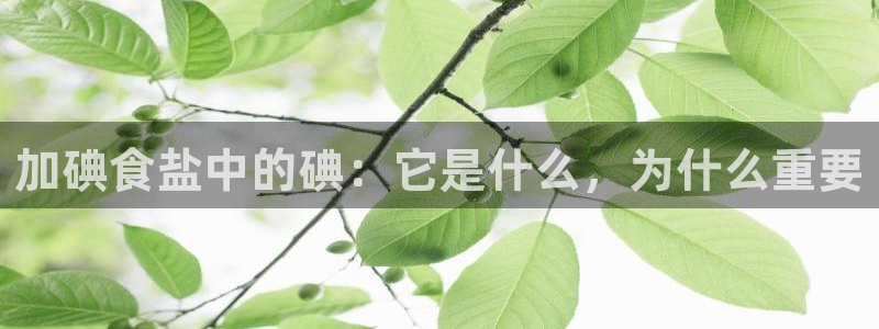 威九国际Info