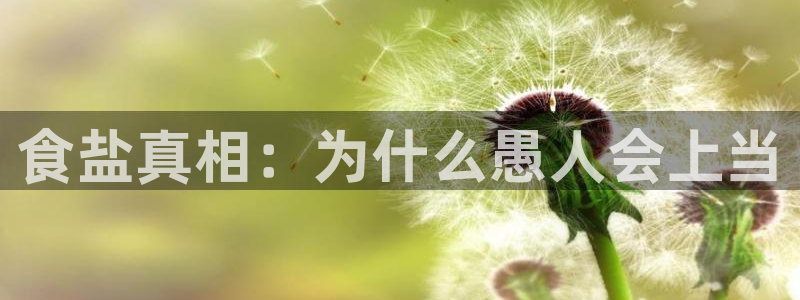 威九国际网站是多少
