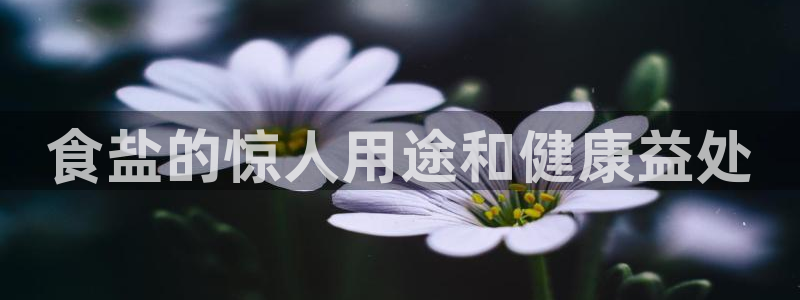 威九国际电子有限公司
