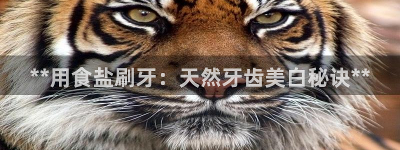威九国际Info