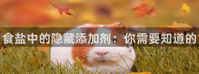 威九国际78mob游戏特色