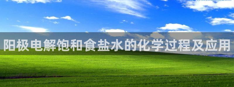 威九国际免费网络站