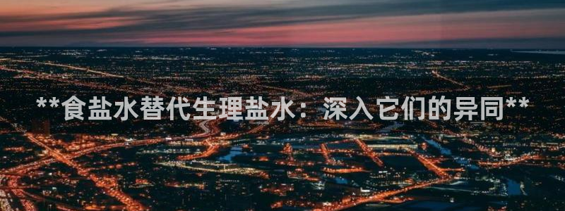 威九国际PPT