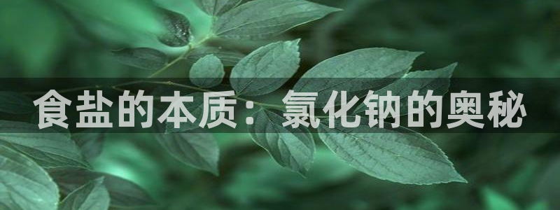 威九国际网站传媒招聘