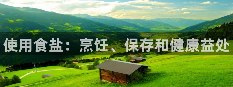 威九国际女艺人