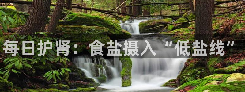 威九国际演员名单