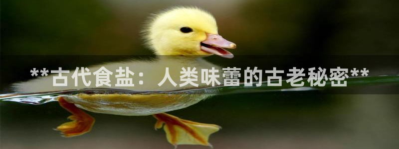 威九国际网站入口官网首页
