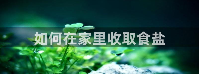 威九国际app客服电话