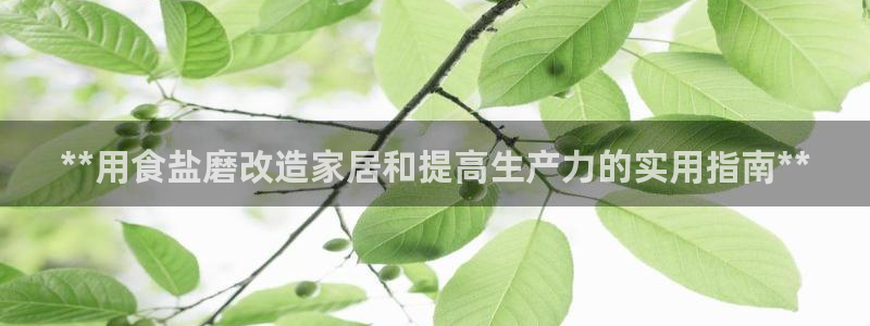威九国际网站传媒招聘