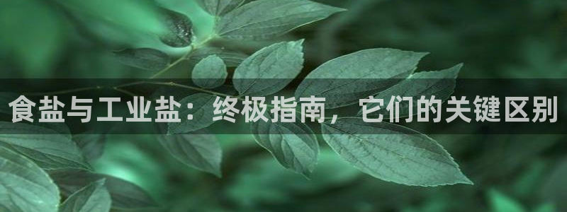 威九国际国精彩片段