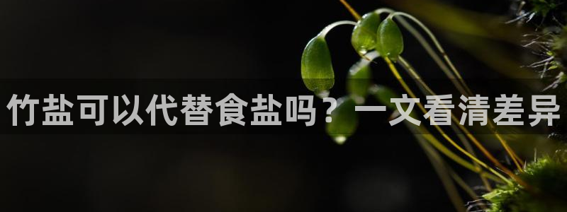 威九国际人民网招聘