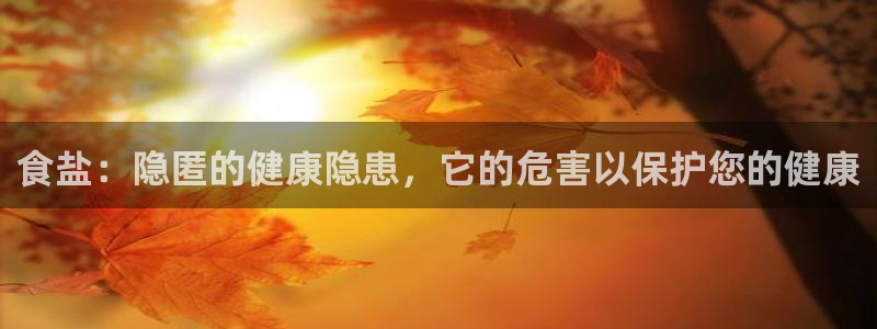 威九国际mm