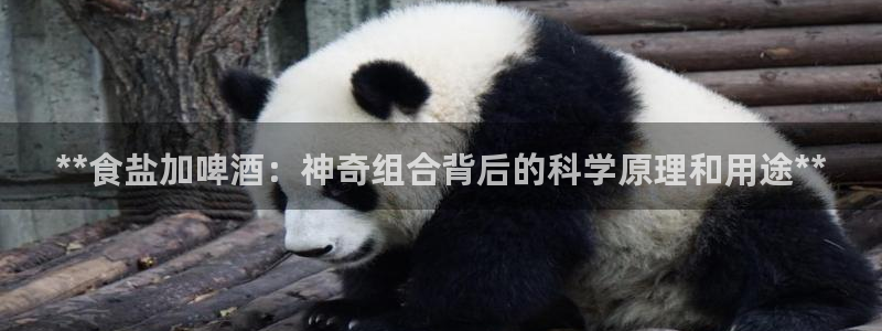 威九国际游戏app(网站)