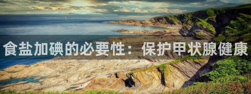 威九国际天美