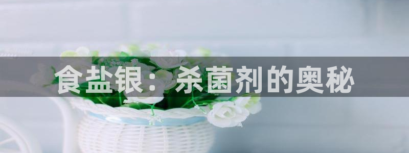 威九国际h5