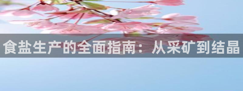 威九国际电子有限公司