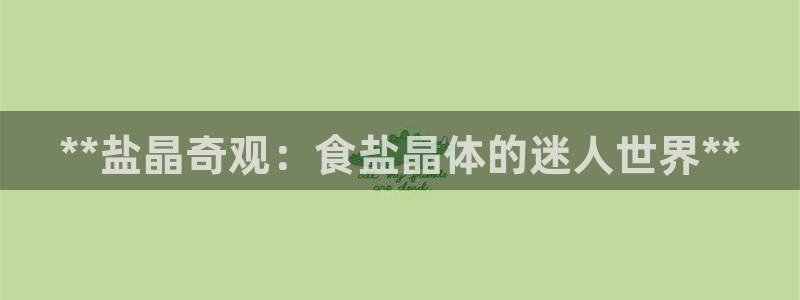 威九国际8ⅹ8x