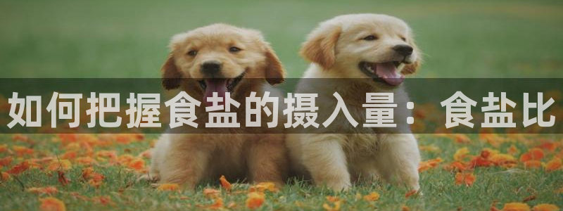 威九国际新