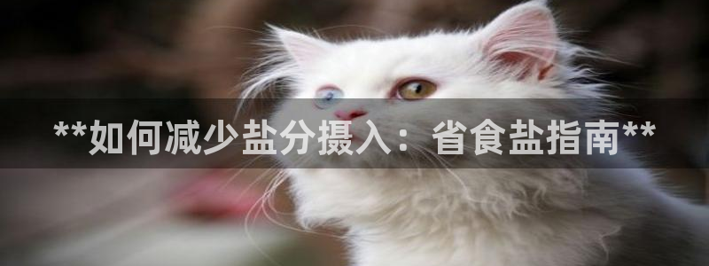 威九国际女艺人