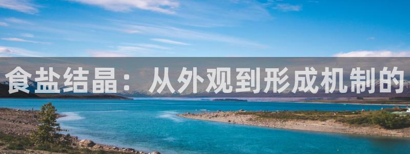 威九国际66m-66