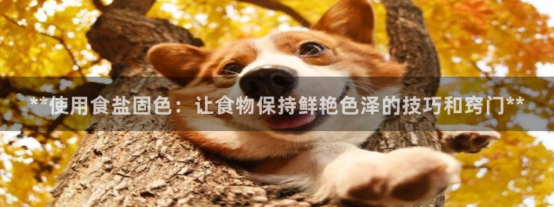 威九国际66m免费下载