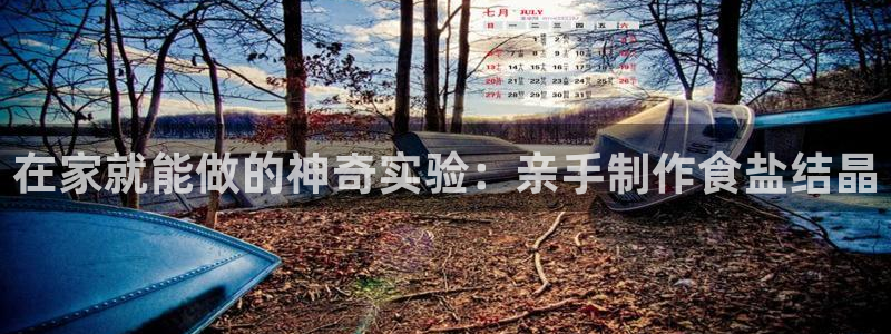 威九国际com