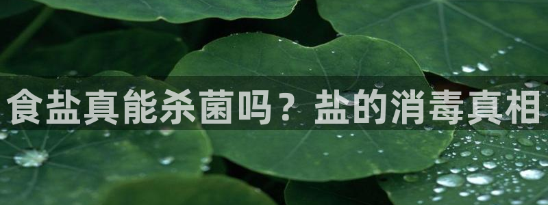 威九国际网站入口官网免费下载