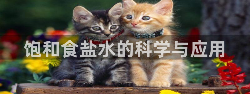 威九国际父亲的友人