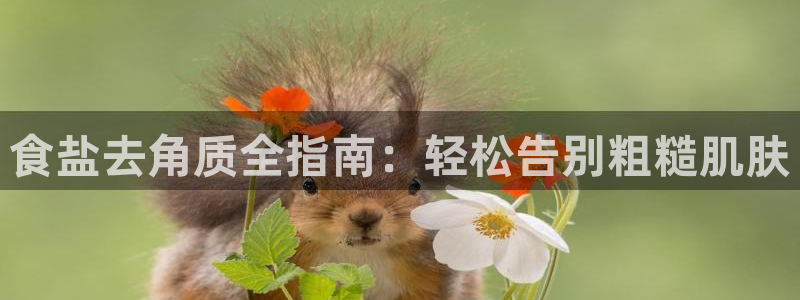 威九国际官网在线进入网站查询