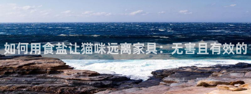 威九国际演员表