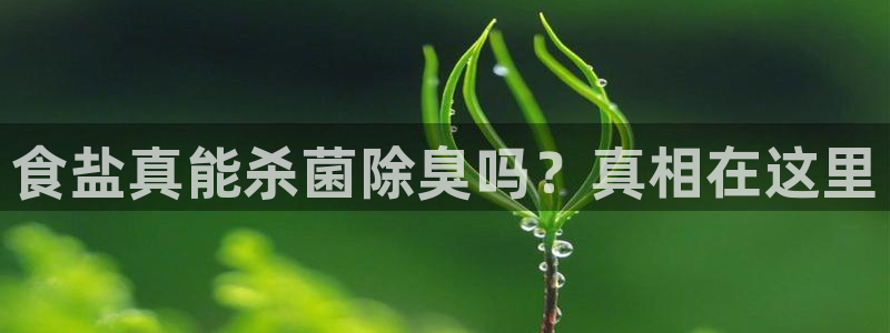 威九国际女主角