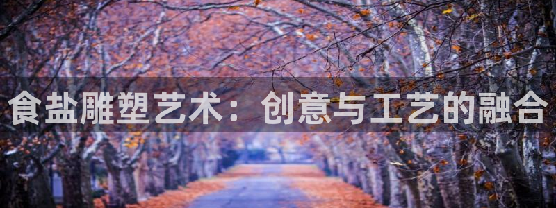 威九国际软件公司简介