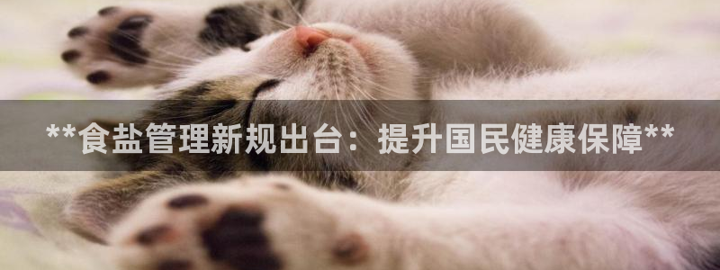 威九国际清砖码头在哪