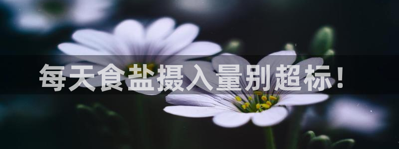 威九国际成长模式