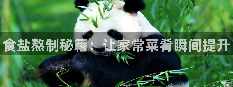 威九国际客服电话号码是多少