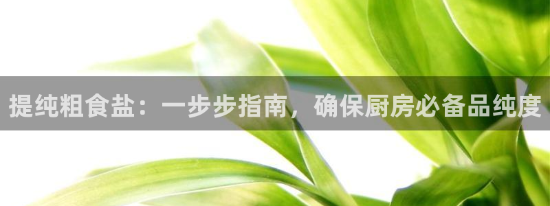威九国际78mb官网