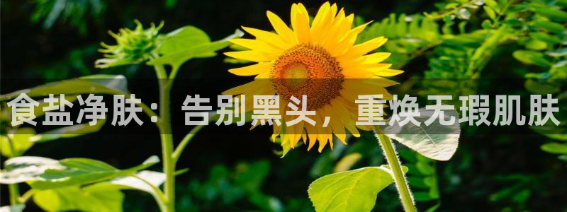 威九国际78m九妹