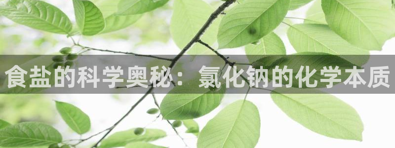 威九国际可以提现吗